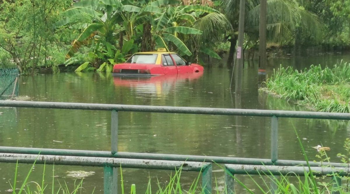 大霹雳封底下方／一场豪雨水位达三四尺 巴占多区发生水灾