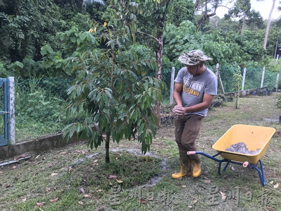 它的诞生：促进果树生长 减少病虫害 嘉玛花三年研究营养土