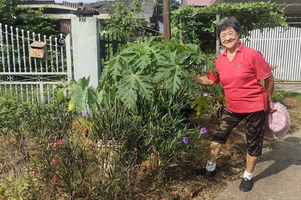 有故事的人（本月19日见报）：黄雅香爱种自家菜，换来健康及成果