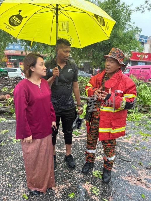 母女受惊送院检查 怡大雨树倒压车  