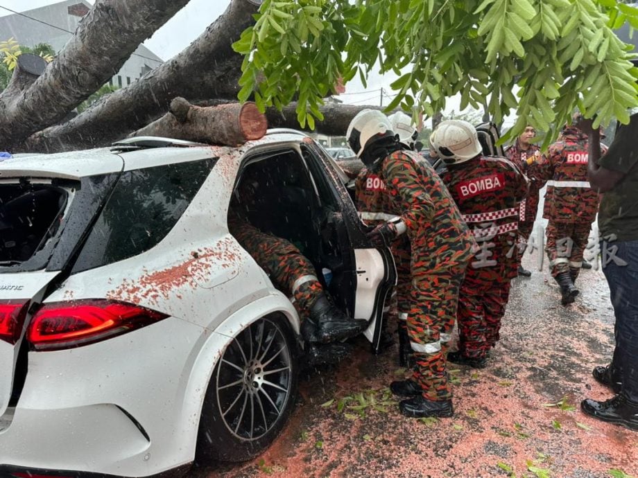 母女受惊送院检查 怡大雨树倒压车  