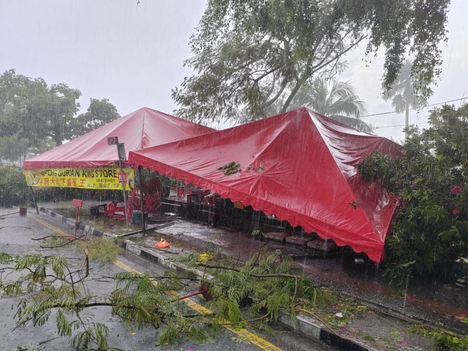  狂风暴雨树倒毁车  隆消拯局：投报求助不停 有人受伤