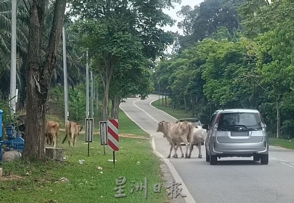 脚车队经过甲郊区局部封路 民众受促留意