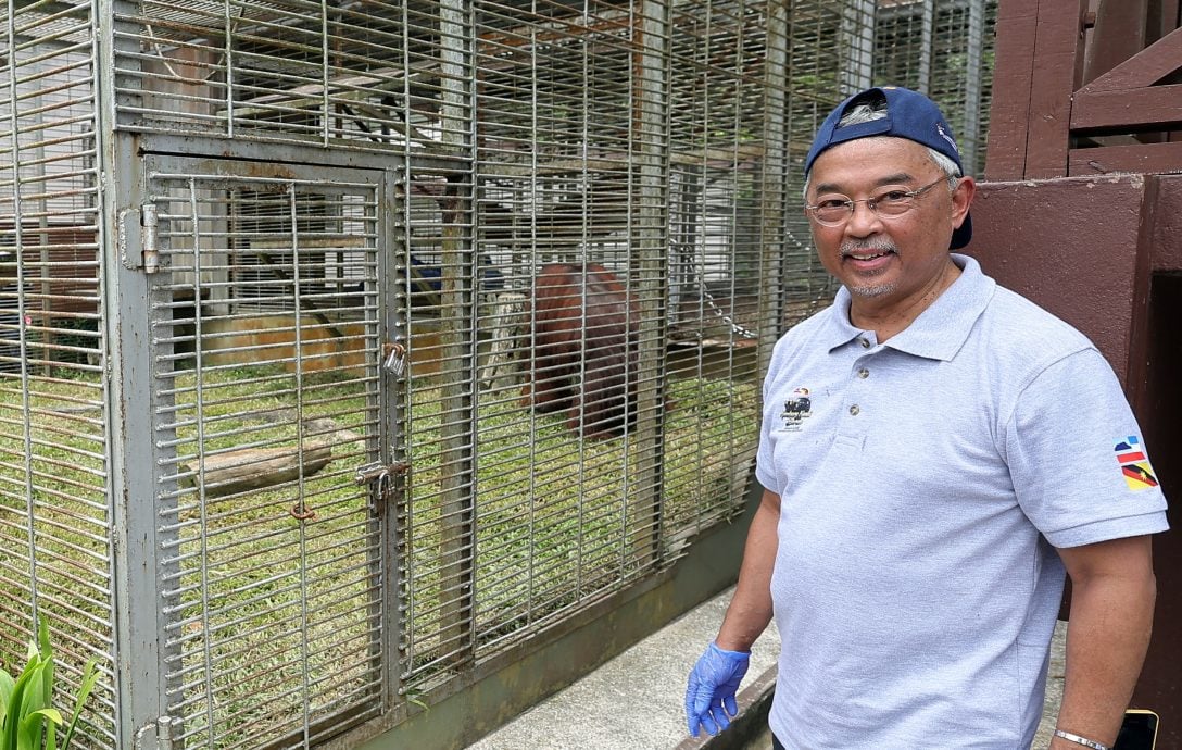 （元首）国家元首访西必洛 为小人猿取名为“迪迪”