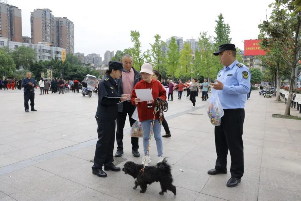  女童遭狗咬致重伤 中国多地免费发放牵狗绳