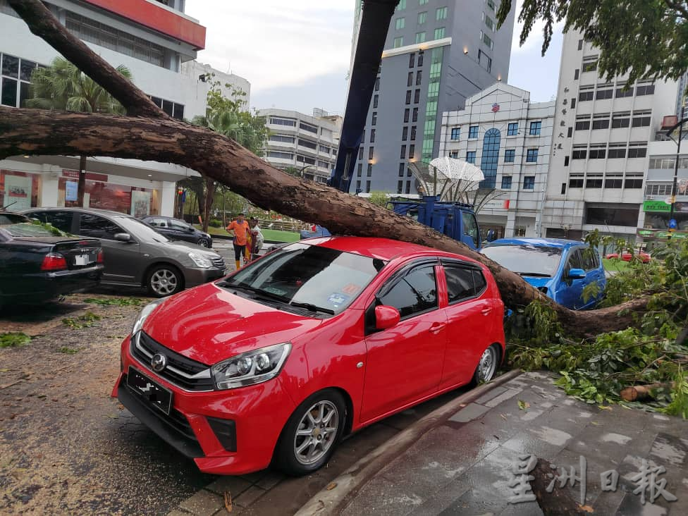 柔：新闻：午后雷电交加大风大雨  新山市区多处面目非