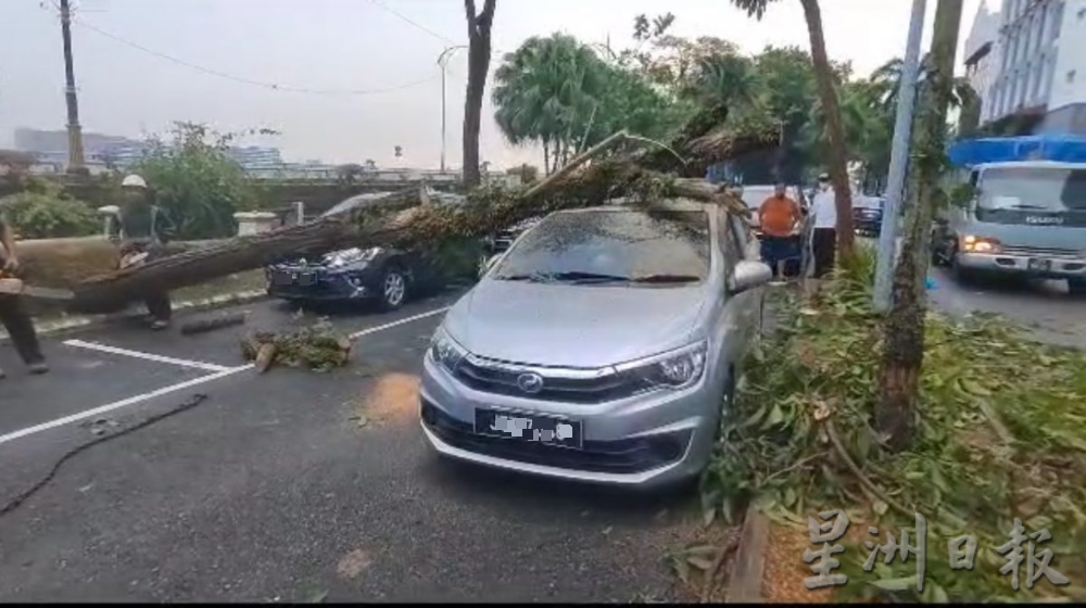 柔：新闻：午后雷电交加大风大雨  新山市区多处面目非