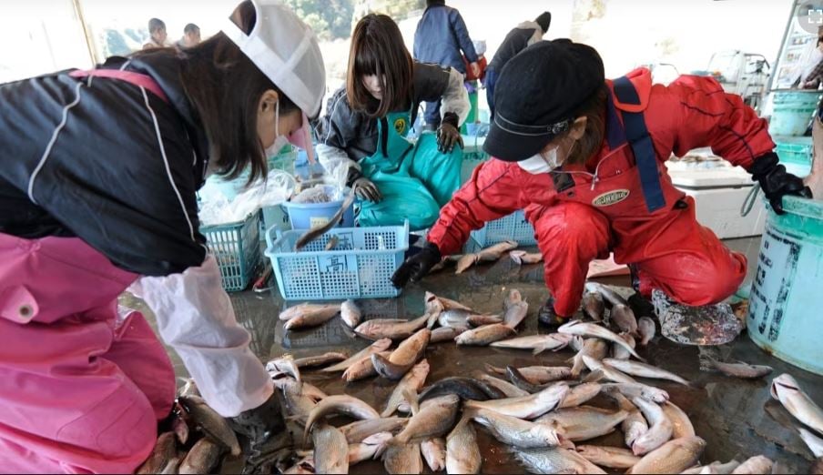 美驻日使馆首购日本海产供应驻军