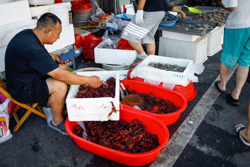 看世界)不满核污水排海全面禁日水产  中海关总署：9月从日本进口水产品“归零”