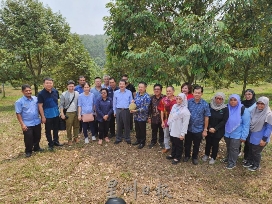 （古城第四版主文）黃章麟：榴槤不僅是水果，更是文化和友誼的象徵