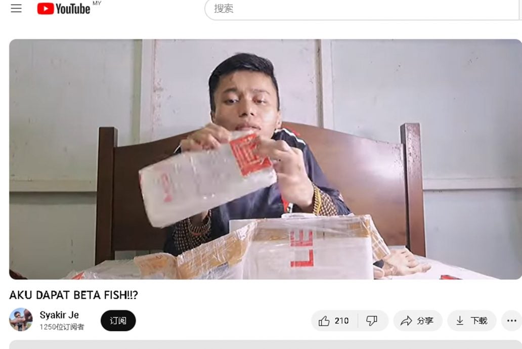 《暖势力》：忍受网上嘲讽仍坚强应对，“半身男”残友抖音成功收获33万追随者。