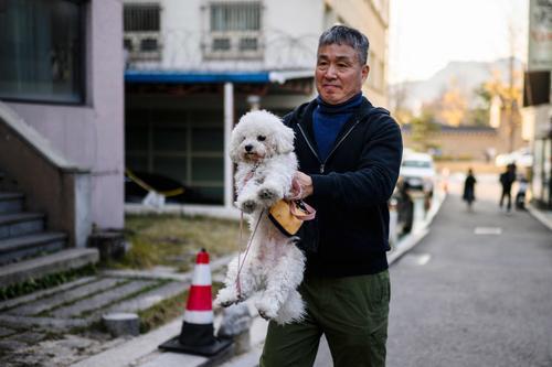 拚图未签)韩拟年内立法禁食狗肉 2027年实行