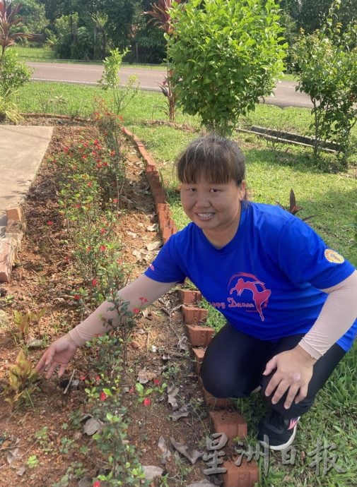 柔：【善心美事】：陈昔兰义务种花添绿意 甘榜登雅 休闲广场 变打卡景点