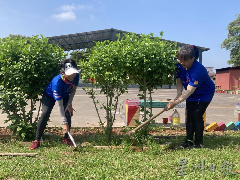 柔：【善心美事】：陈昔兰义务种花添绿意 甘榜登雅 休闲广场 变打卡景点