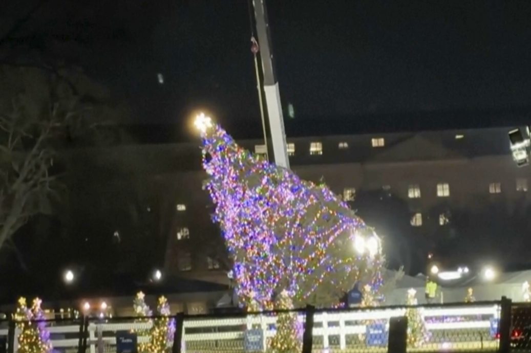 看世界）周四亮灯前不敌强风 白宫国家圣诞树被吹到