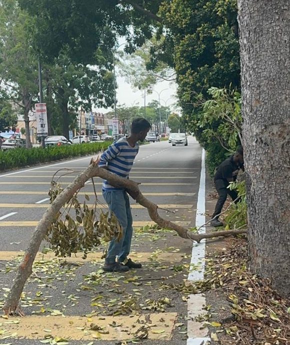 行驶中骑士被树干击中头破血流