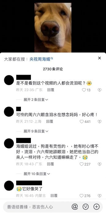 ​周海媚病逝｜爱犬周六六哭想妈妈  网民心疼陪泪崩