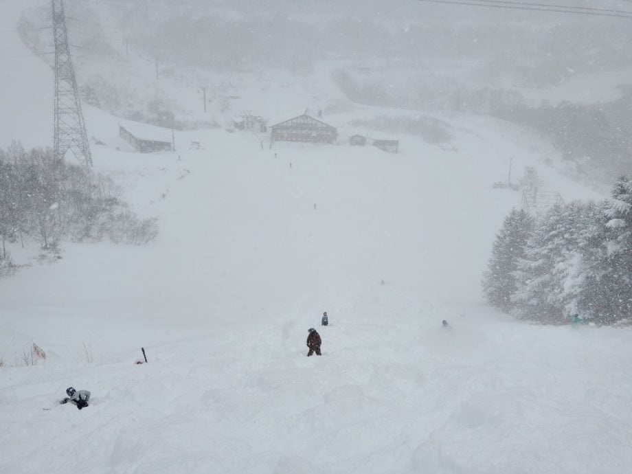 中国27岁女游客日本滑雪闯禁区 摔倒遭积雪掩埋身亡