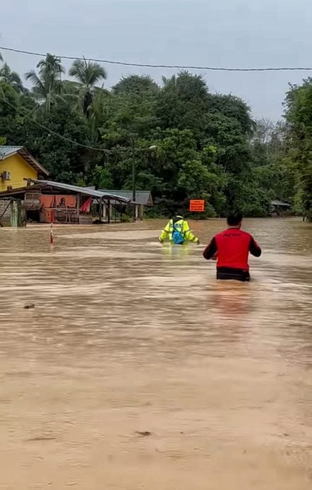 全国（下午5时）：丹水灾数据 