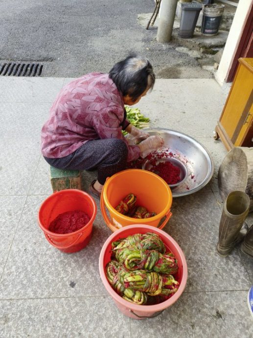 卓衍豪／從節氣到風土教育