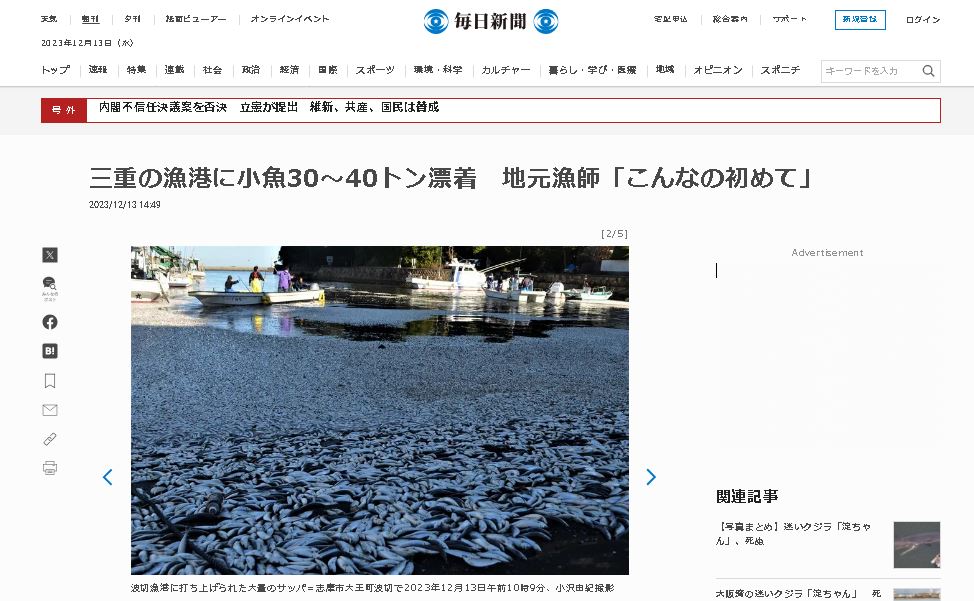 看世界  日本又有大量鱼尸冲上岸！不只北海道　这回是三重县渔港