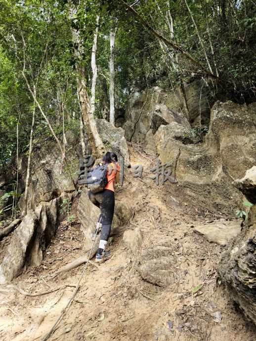 （大北马）在山中／旺古农山