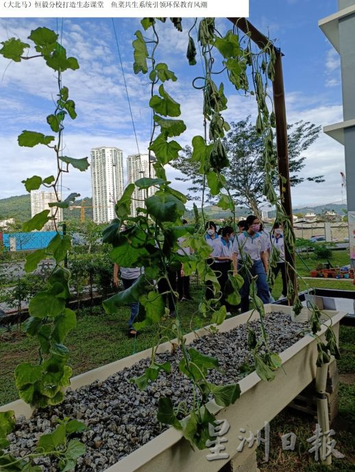 （大北马）恒毅分校打造生态课堂　鱼菜共生系统引领环保教育风潮