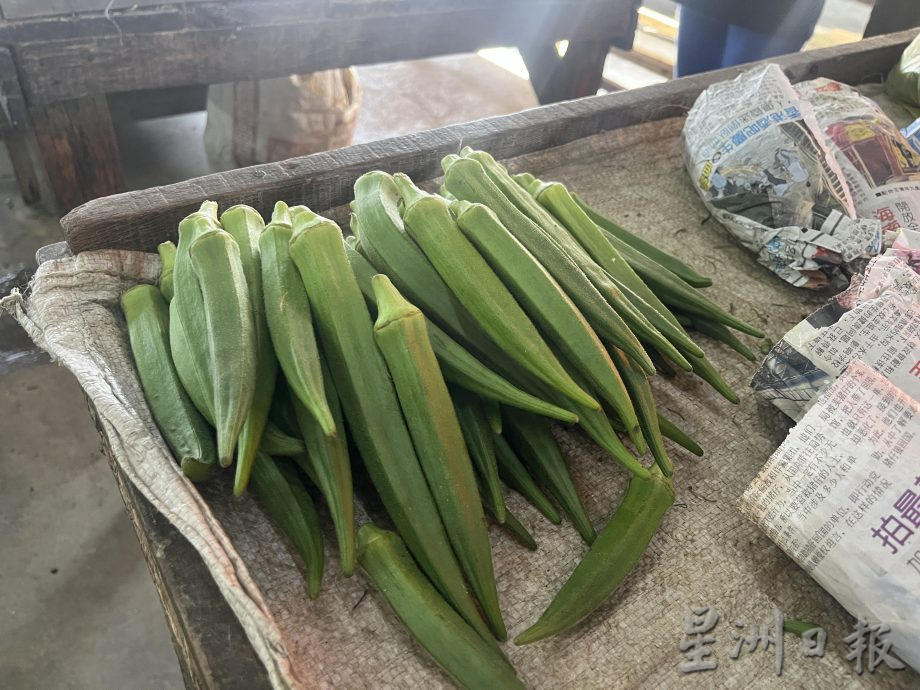 农历新年开市后 猪肉居高不下 菜鱼跌价 