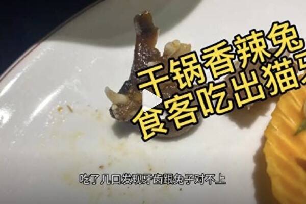 广西顾客疑在店家乾锅兔肉里吃出猫头