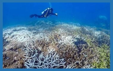 极端天气来袭！（四）| 送走厄尔尼诺 拉尼娜或来访 旱涝交替 悄悄叩门