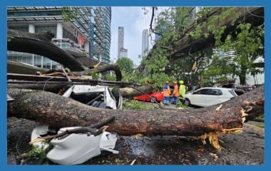 极端天气来袭！（五）| 专家：建绿化带植被区等 做好绿色城规 抗衡暴雨