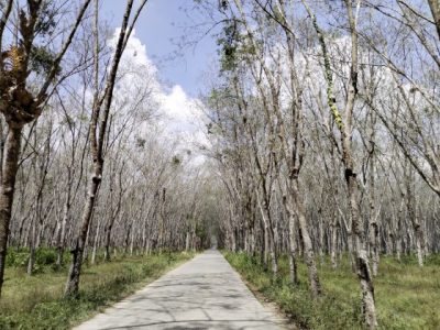 【泰國】從新山出發，跨越6州，泰南邊境趴趴走