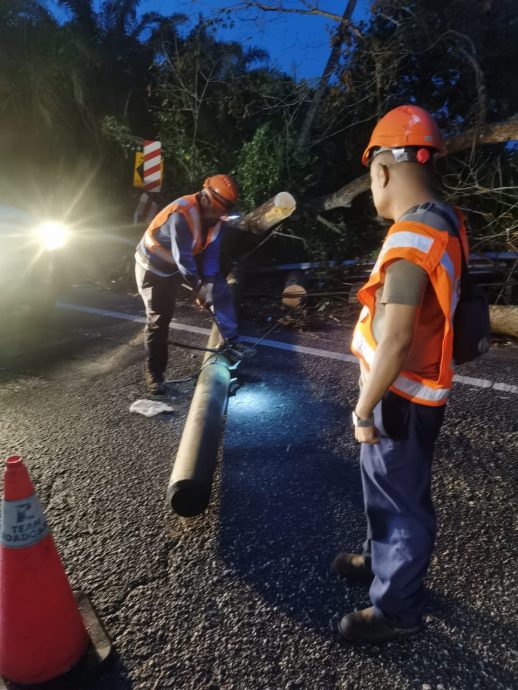 大都会：倒树导致雪邦双溪比力交通瘫痪