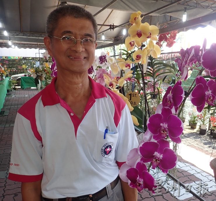 太平兰花展 百花争妍夺艳