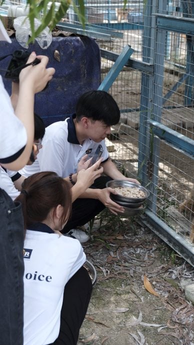 投入流浪狗收容所当义工 优大生传递关爱正能量