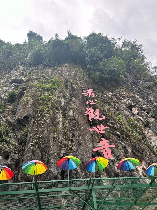 供上网及大北马/清心岭落石击毙案 警：死者被击中头部当场毙命