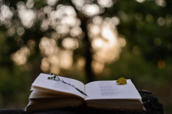 Poetry Book In Front Of Blurred Sunset Background