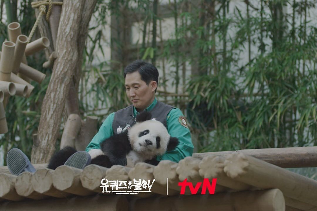 旅韓大熊貓“福寶”將拍成電影 《再見，爺爺》計劃今年上映