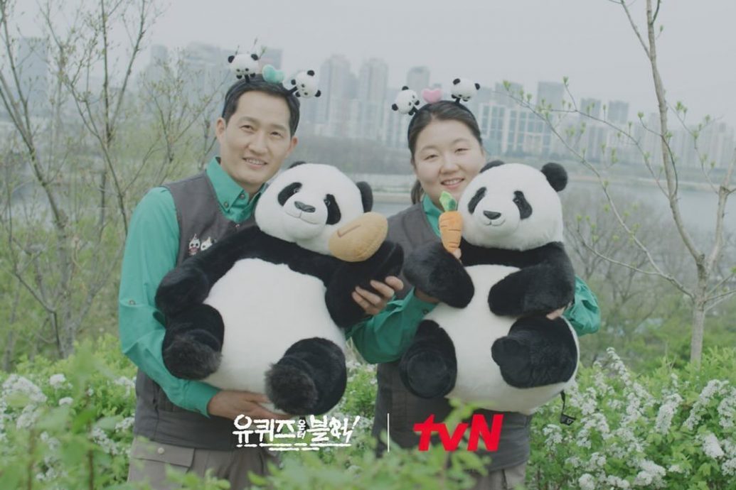 旅韓大熊貓“福寶”將拍成電影 《再見，爺爺》計劃今年上映