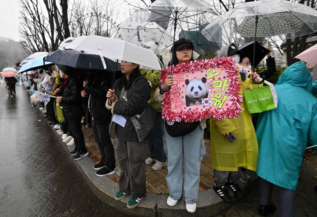 韩国民众冒雨排队送别福宝 姜爷爷突然丧母仍决定陪福宝回国