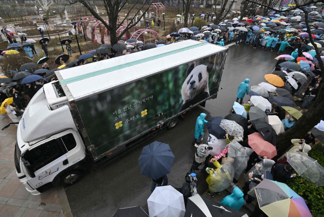 韩国民众冒雨排队送别福宝 姜爷爷突然丧母仍决定陪福宝回国