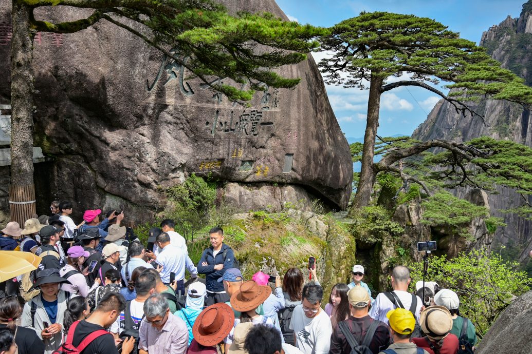 黄山迎客松提前迎客