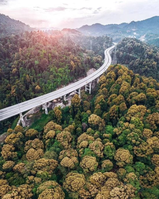  （多图）旅游局分享万绕绕道高架公路美景 “花椰菜山丘”惊艳网民