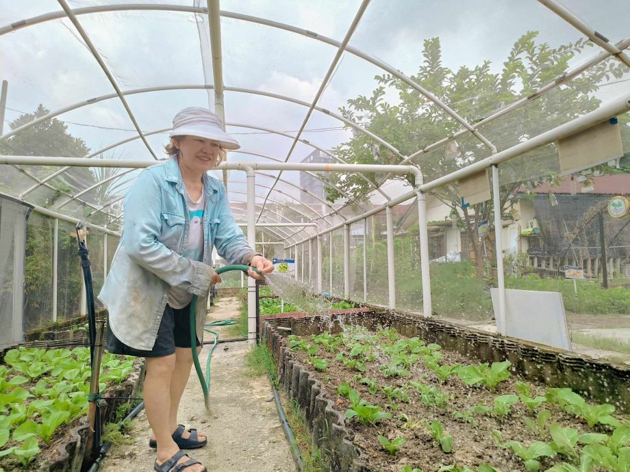 515見報日/綠意盎然/大都會/蕉賴美麗園愛心菜園