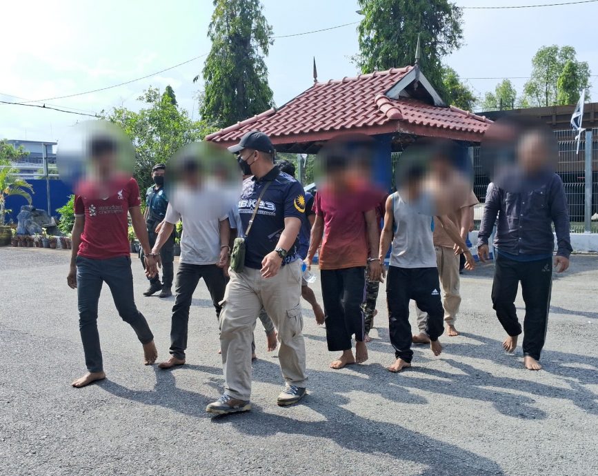 东：9名缅甸籍男子涉嫌私闯武吉班迪森林保护区，被登州森林局执法人员逮捕。
