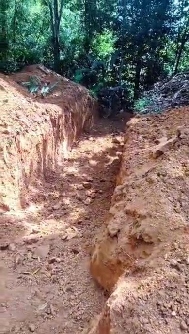 東：森林局行動升級，在貓山王非法芭挖路坑，阻農民進芭工作