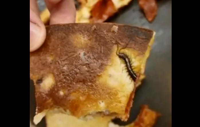 中国民众吃披萨惊见半截蜈蚣“镶嵌”饼皮上