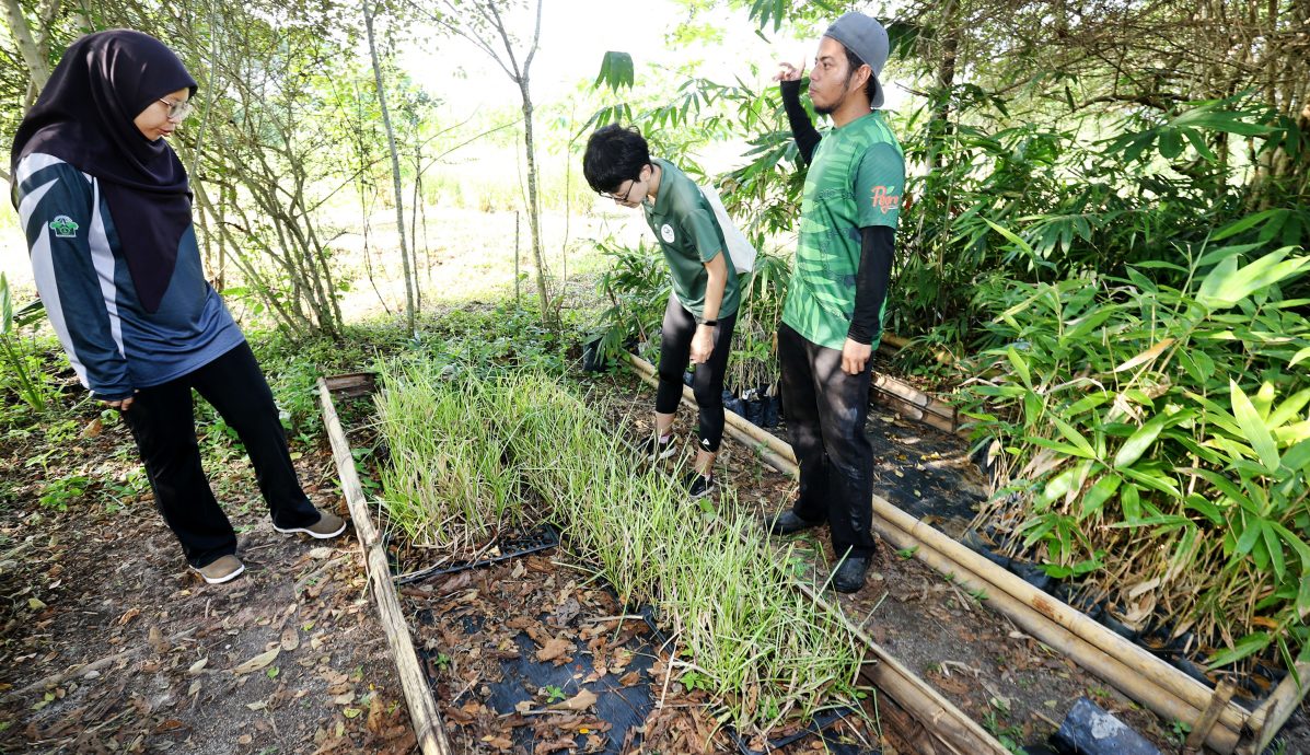 从养地到复育生态 让近打生态公园恢复生机