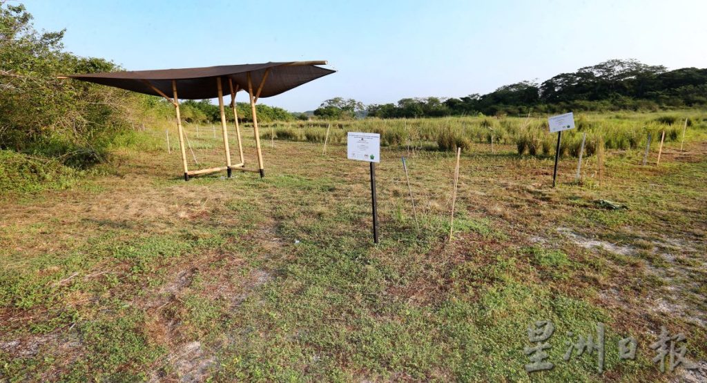 從養地到覆育生態 讓近打生態公園恢復生機