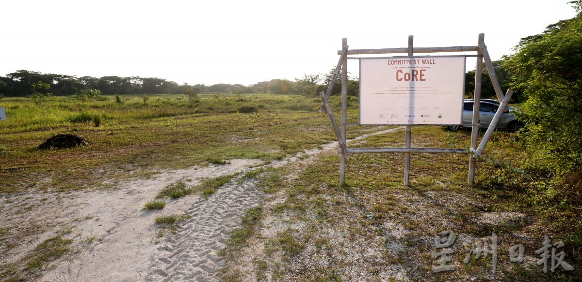 從養地到覆育生態 讓近打生態公園恢復生機